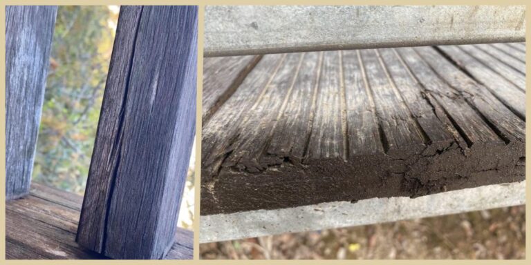 Preventing Common Problems of Bamboo Decking: A Comprehensive Guide ...