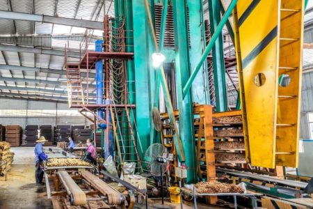 bamboo decking process